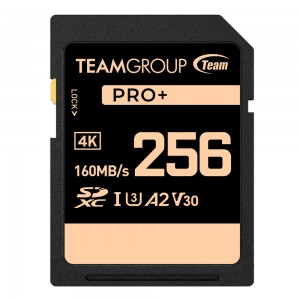 TEAM GROUP SDXC UHS-I U3 V30 1TB